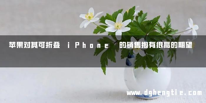 苹果对其可折叠 iPhone 的销售抱有很高的期望